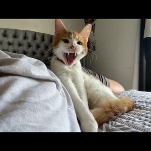 Meet your Posher, Mimi